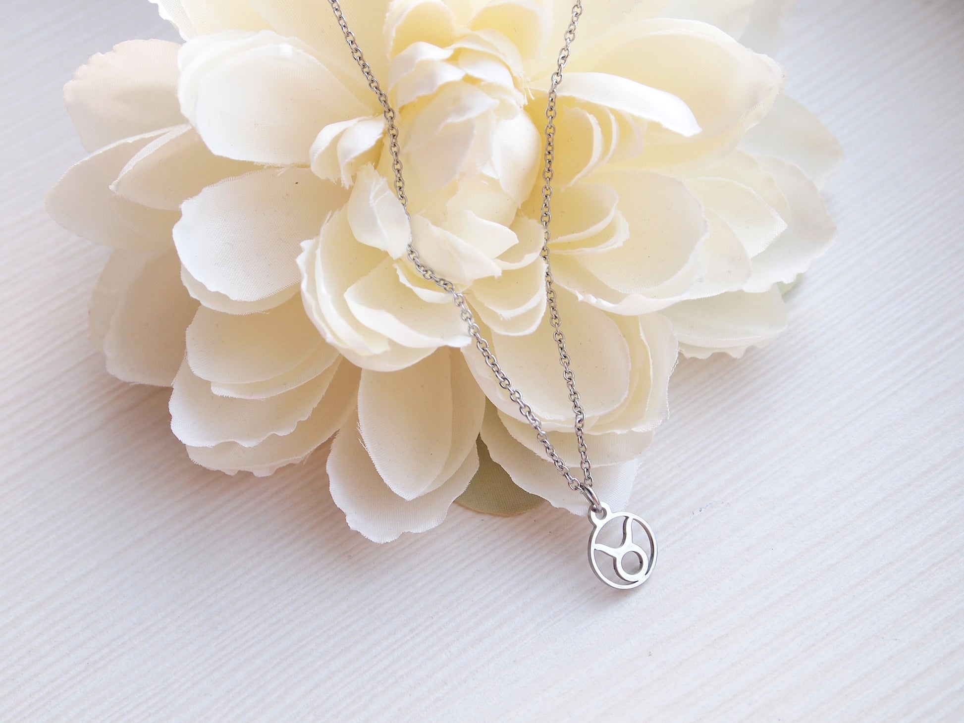 silver zodiac necklace, taurus astro sign